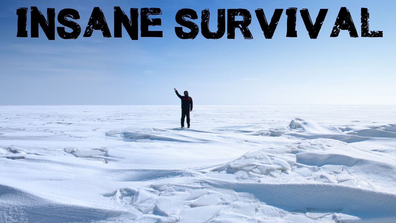 Insane Survival Stories That Defy Odds 🌟