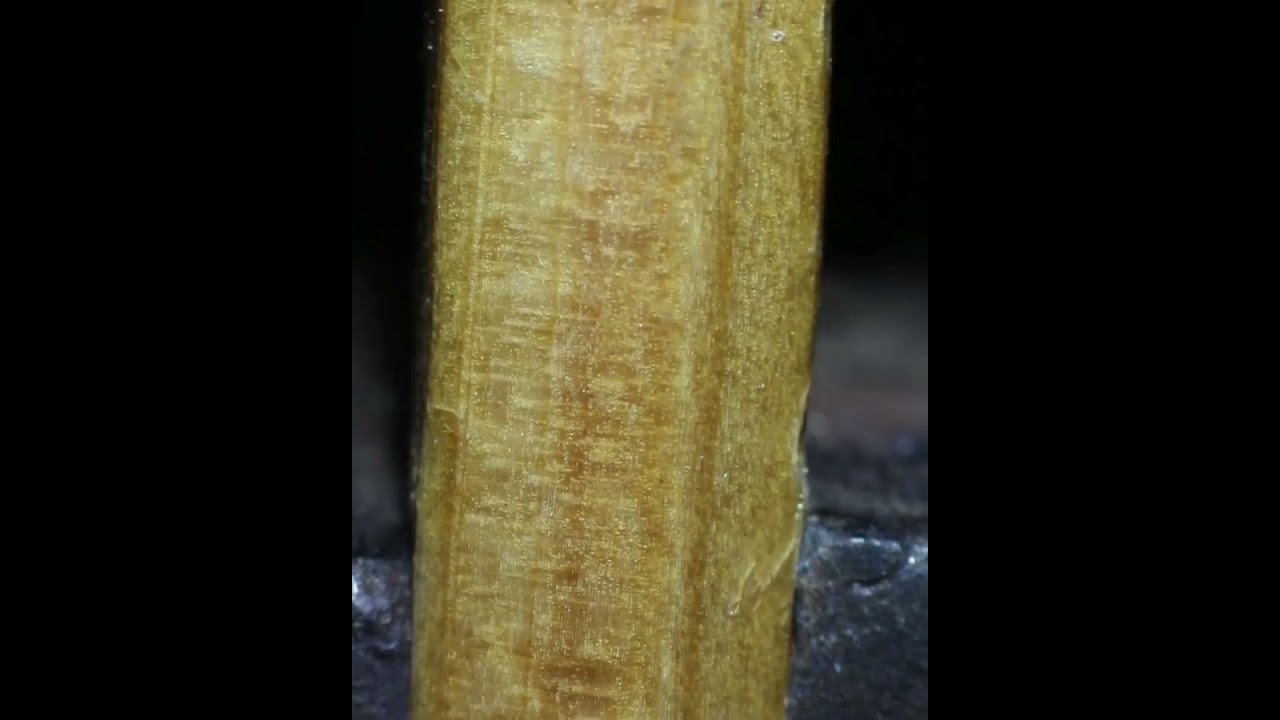 pencil ✏️ break slowly object videos