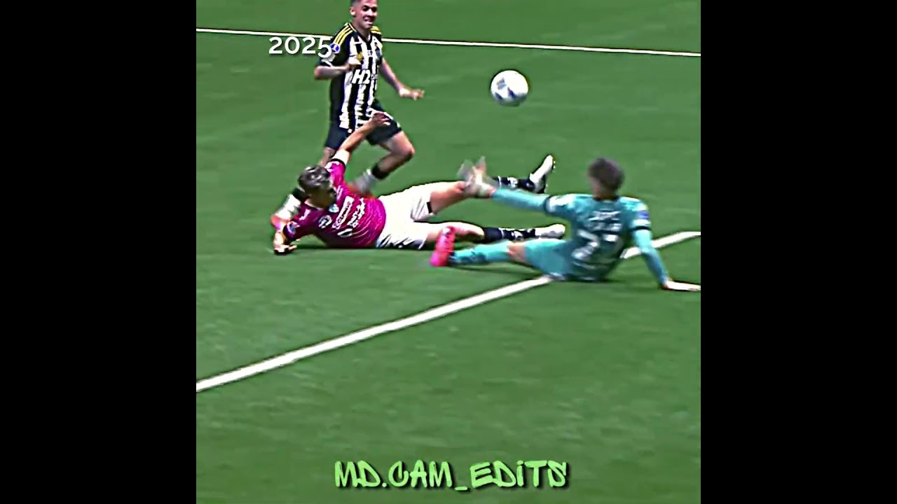 BERNARD: A Journey from 2013 to 2025