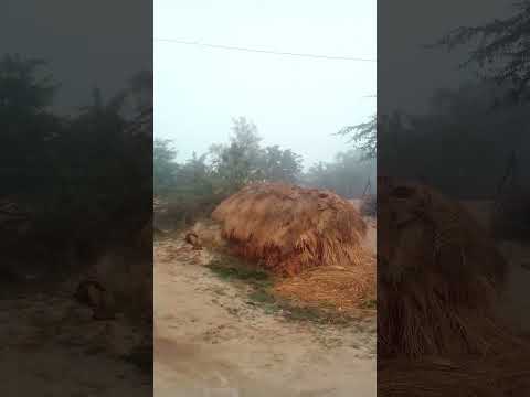 by lata mangeshkar and music directed by laxmikant shantaram kudalkar (laxmikant pyarela