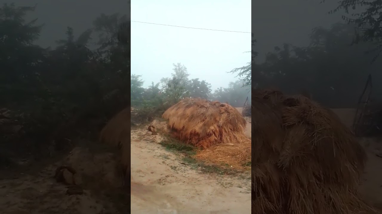 Classic Song by Lata Mangeshkar with Music by Laxmikant Pyarelal 🎶