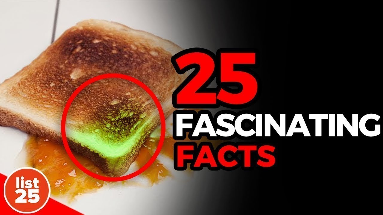 25 Mind-Blowing Facts You Won't Learn in School 📚