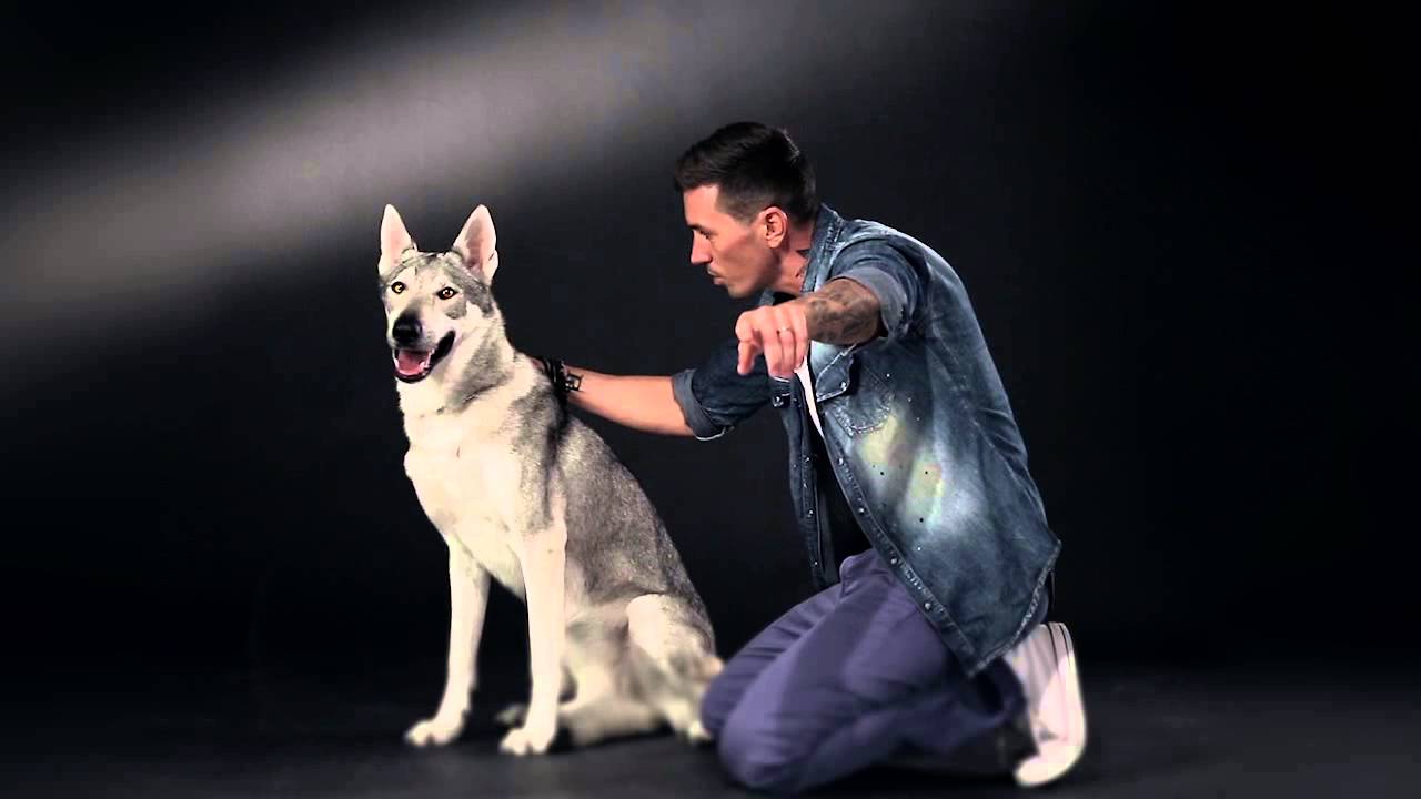 DNA, ŠEGI100 & MIŠO BIELY - Nestrácajme hodnoty 🎶 | Official Video from 'Revolucionar' Album