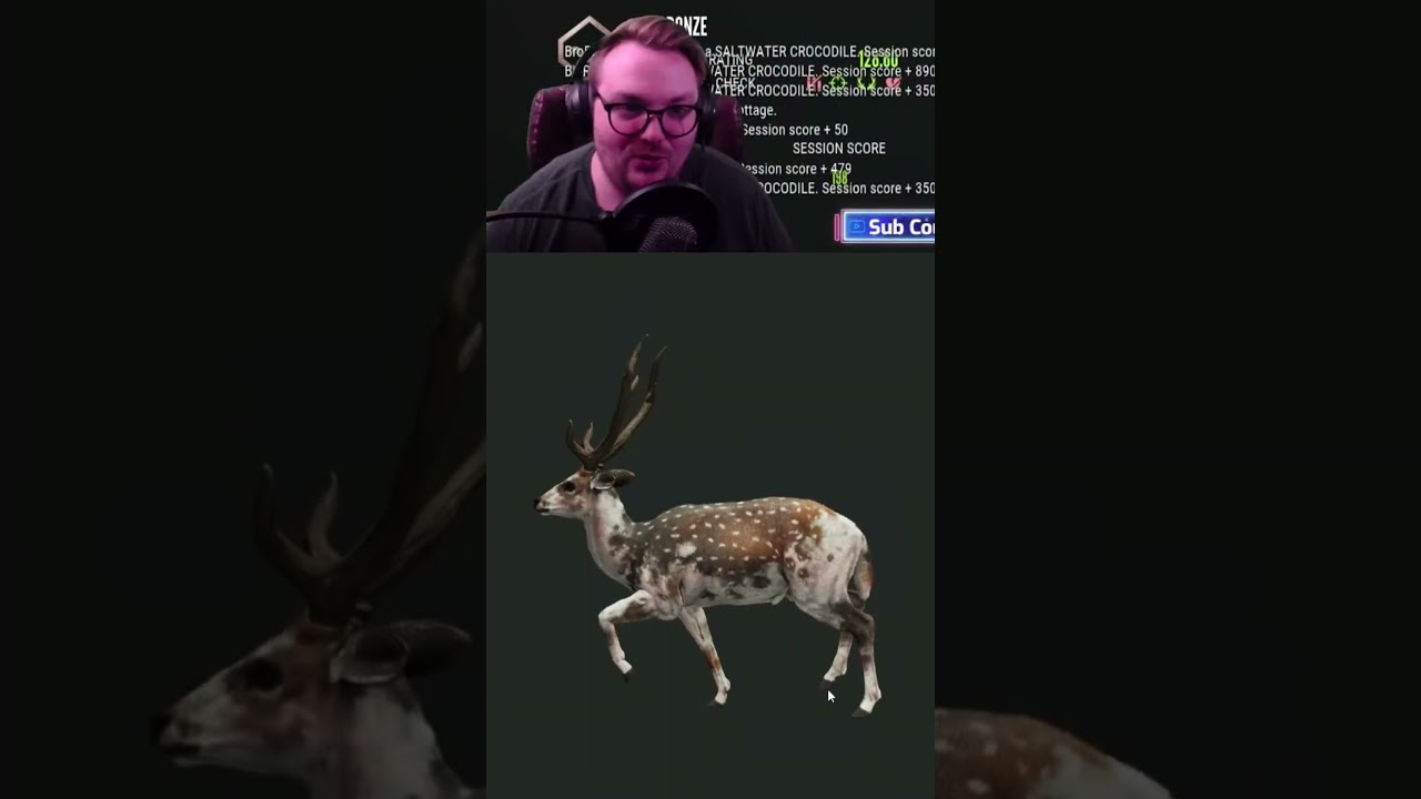 Absolutely LOVE the new PIEBALD Axis Deer!! So Stunning! #callofthewild #cotw #youtubeshorts #short