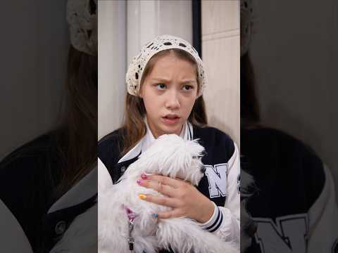 Сериал Про собаку. 2 сезон. 4 серия. #vikazang #vikазанг #чжанвика