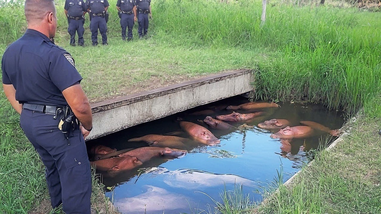Шокирующие кадры 2025: Невозможно поверить своим глазам! 🔥