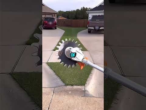 the best neighbor in the world  #curiosities #lawn #family