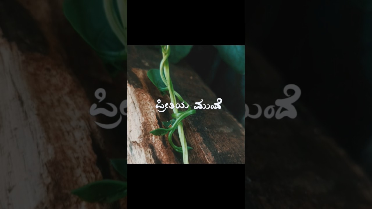 Naane Neenanthe Kannada Song π