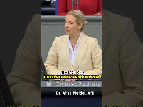 🏭 Deutschlands Wirtschaft am Abgrund – 22.000 Firmenpleiten und der Niedergang der Industrie