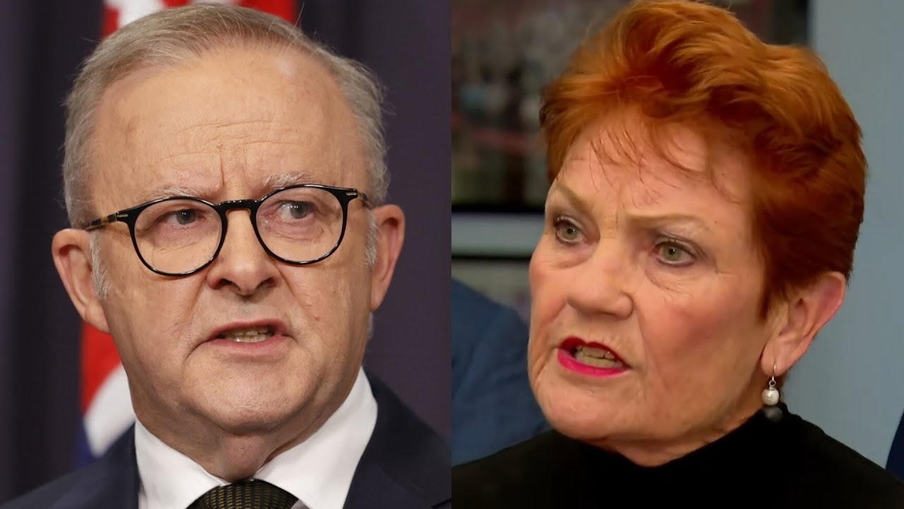 Albanese’s scathing One Nation attack against the party’s workers and wage policies