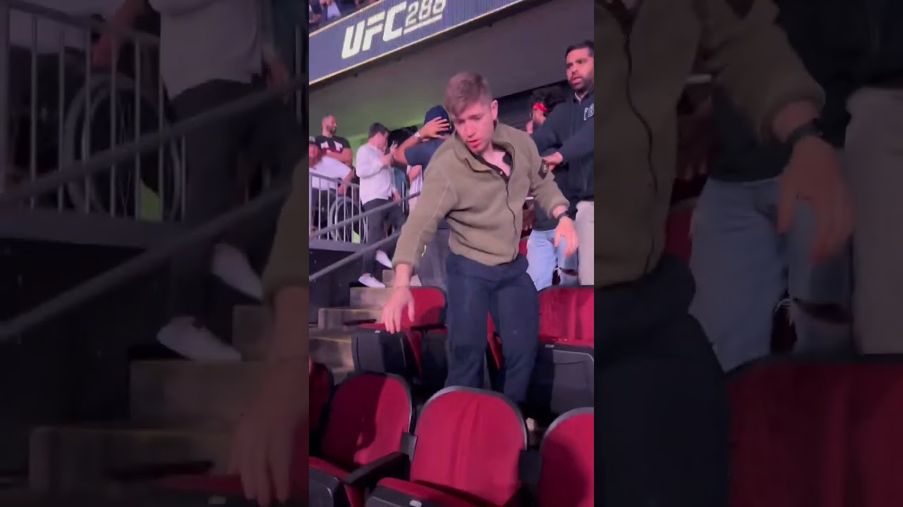 UFC Fight Recap from Last Night