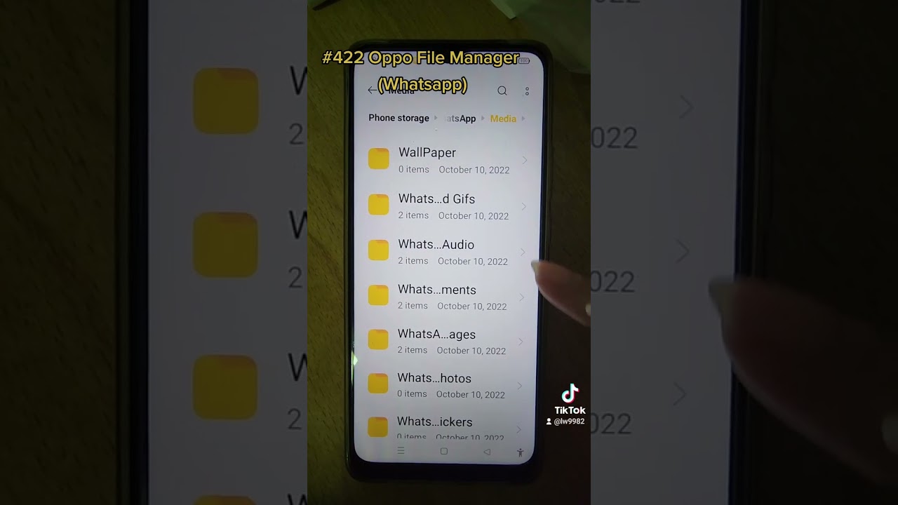 422 Oppo File Manager (WhatsApp): Alternative Method to Access WhatsApp Images and Videos