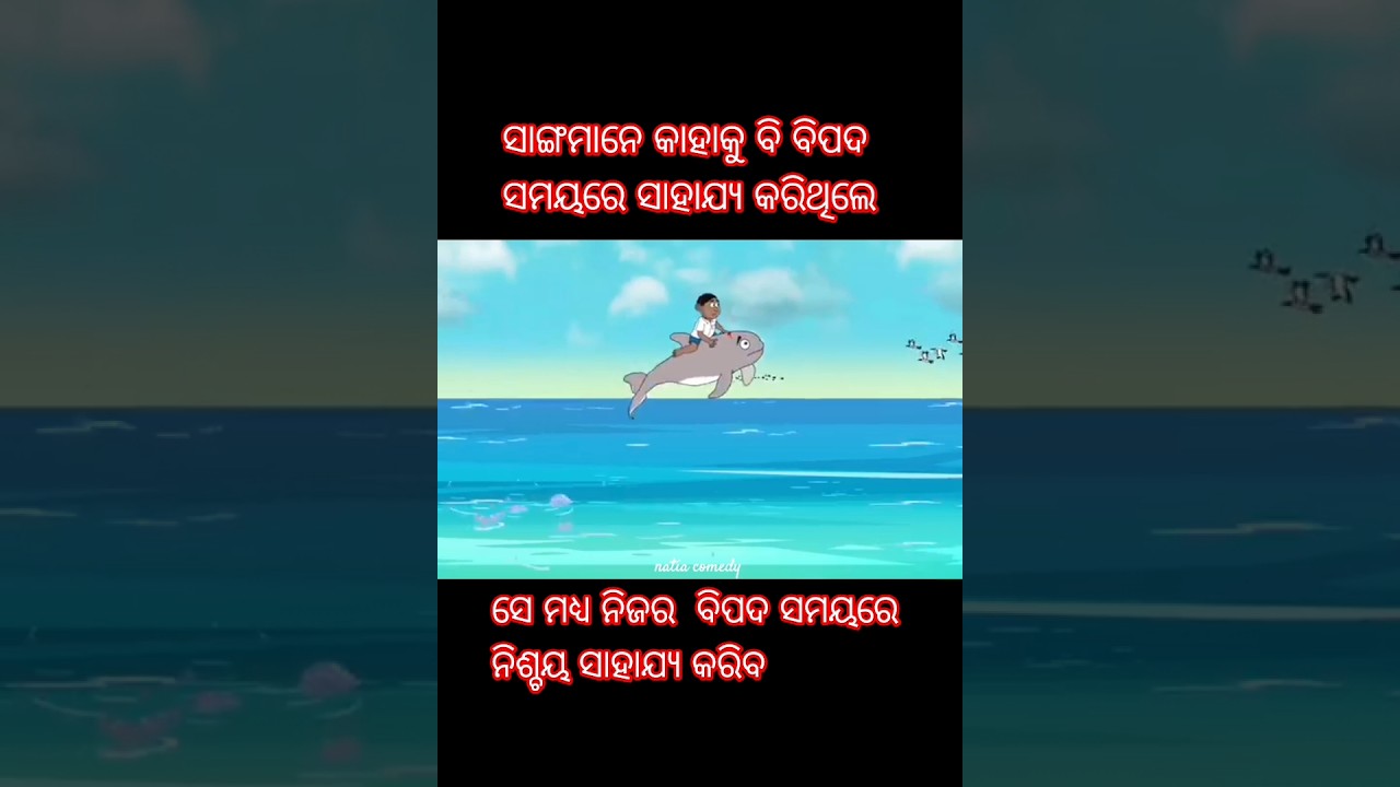 Natia Comedy with Dolphin Saha 🐬