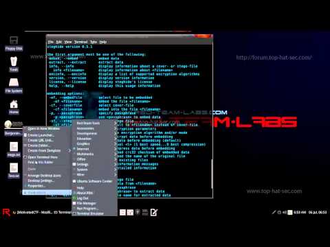 Steganography -Motivated CTF - THS