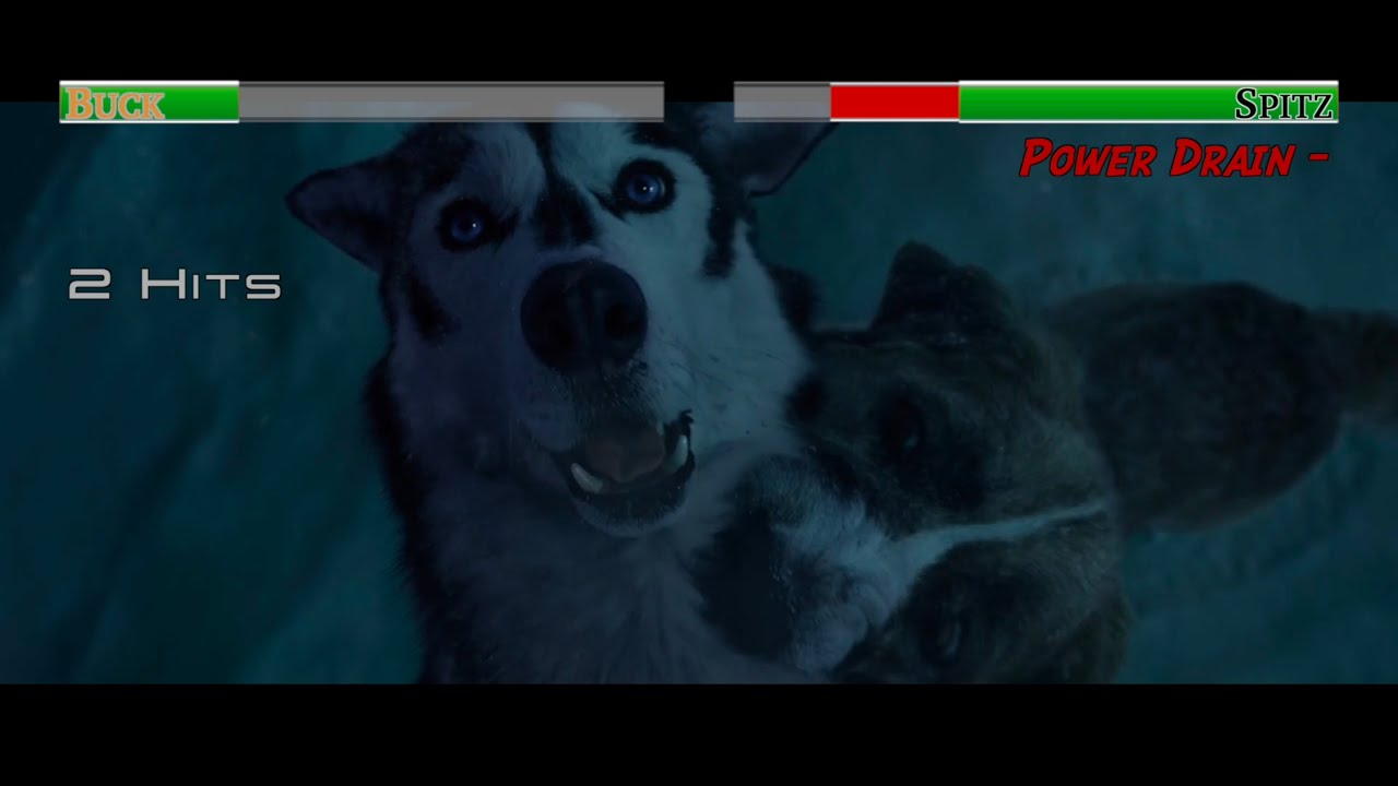 Buck vs Spitz: Battle for Leadership 🥊