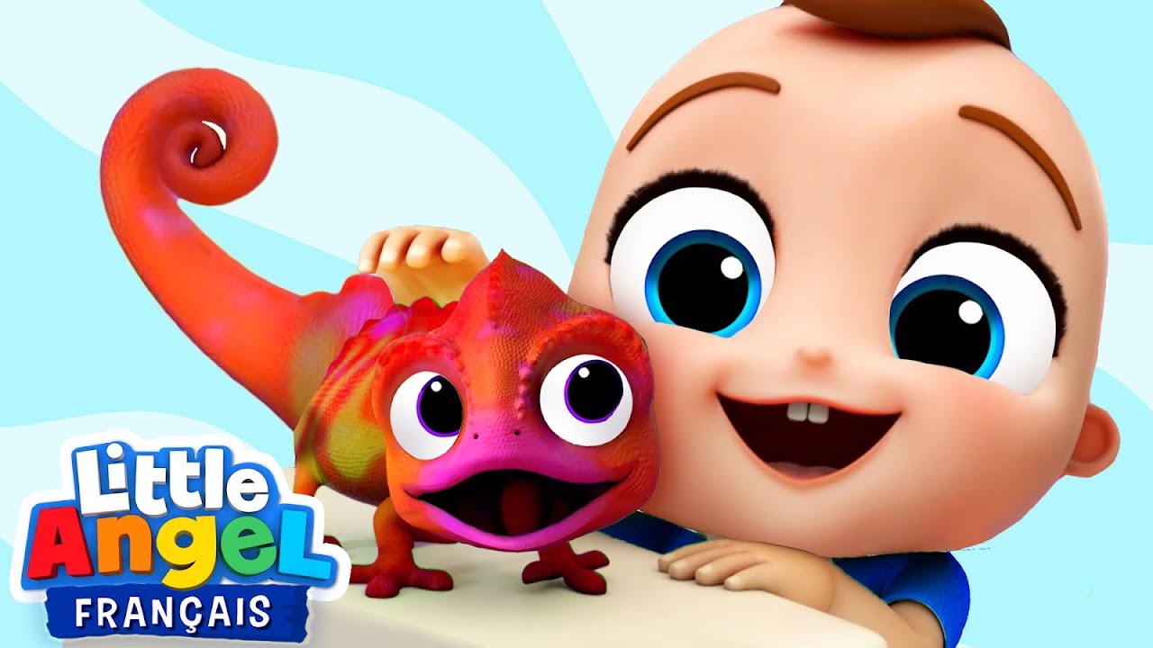 Louis découvre le petit caméléon de Jacob 🦎