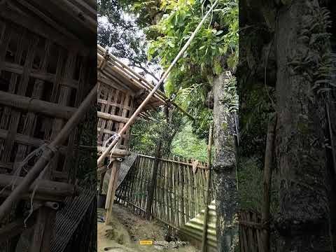 October 3, 2022Ricky, Rich, Ricky Rich, Aram Mafia, Young 22, Young, 22, Yong 22, ara mafia,