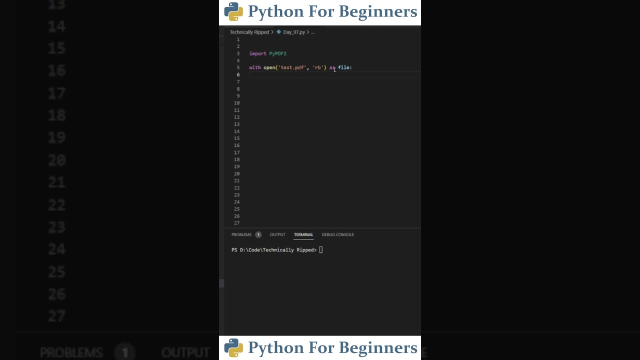 Python Tutorial: Extract Text from PDFs with PyPDF2 π