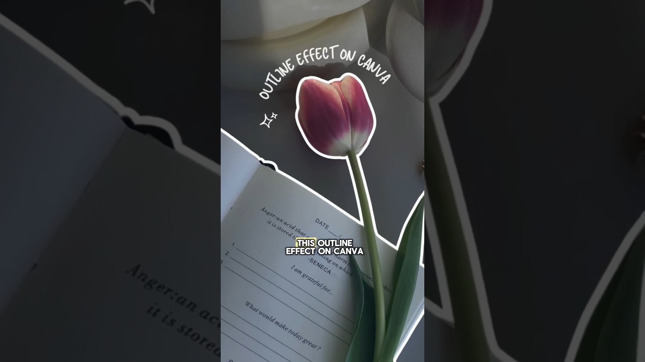 Aesthetic Outline Effect Editing on Canva 🎀