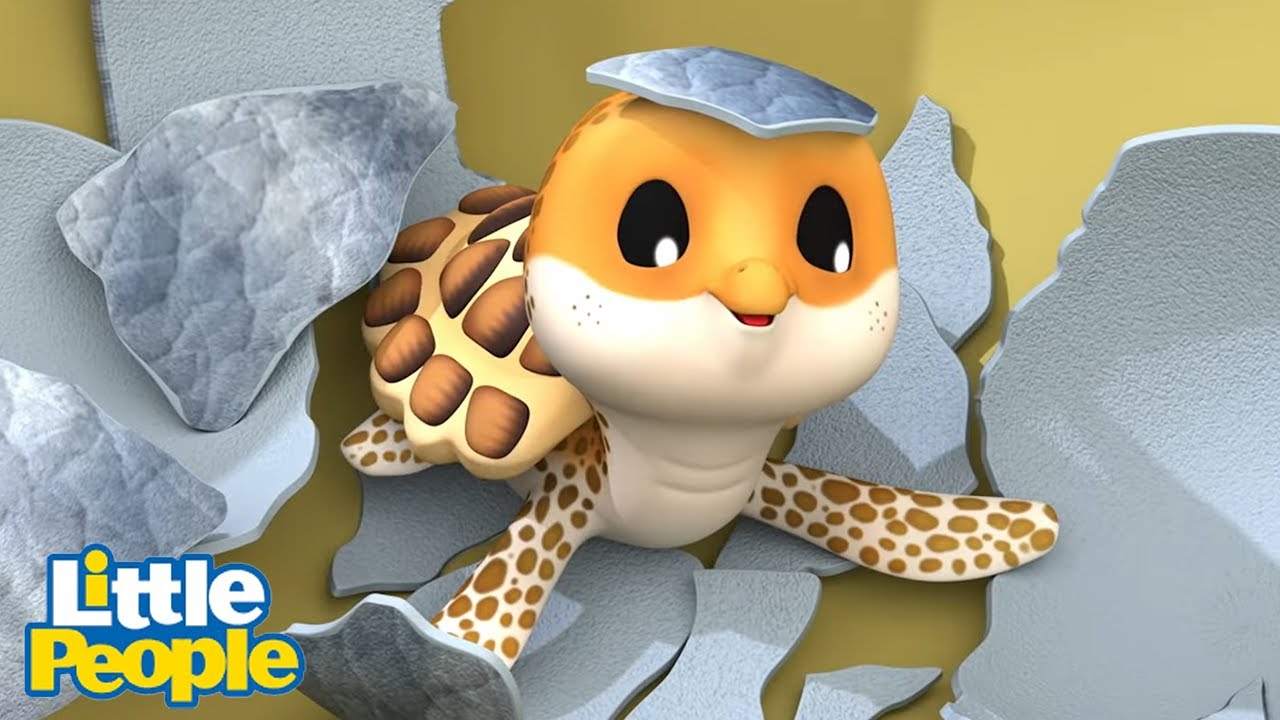 Eddie Helps a Baby Turtle 🐢 | Preschool Learning