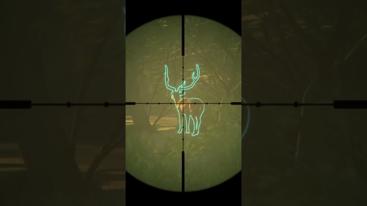 Diamond Axis Deer Nearly Escaped! 🦌