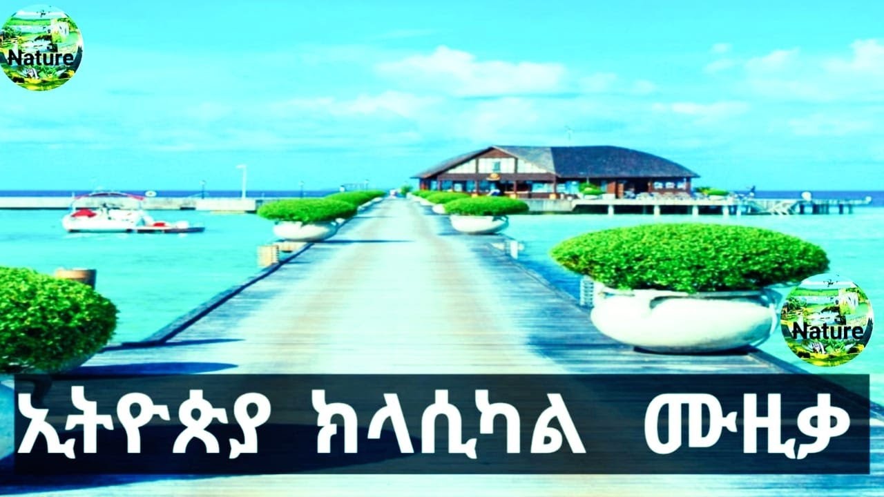 Ethiopian & Eritrean Classical & Instrumental Music 🎶