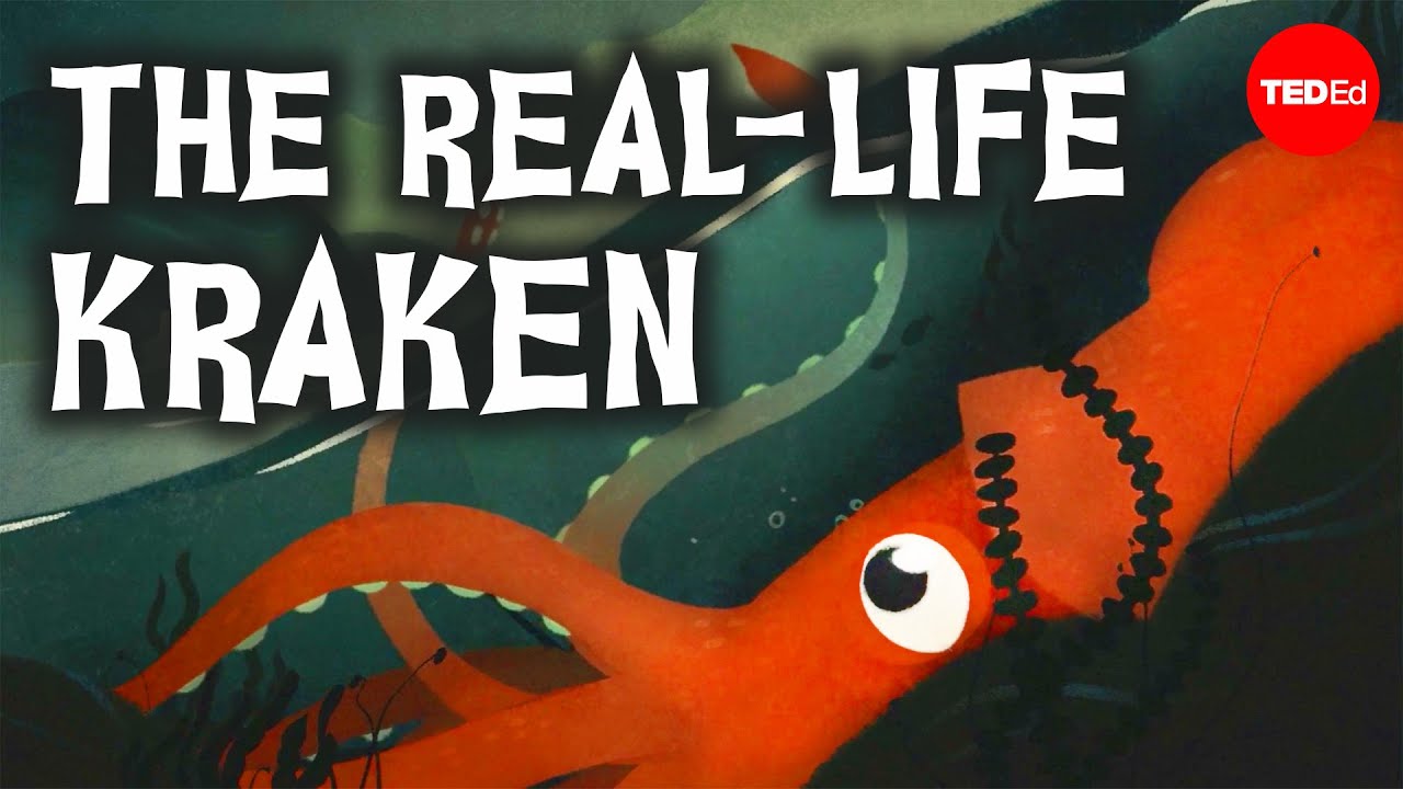 Why It Took So Long to Find Giant Squids 🦑