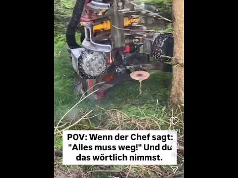 forest germany #johndeere #forsttechnik #nature #fun