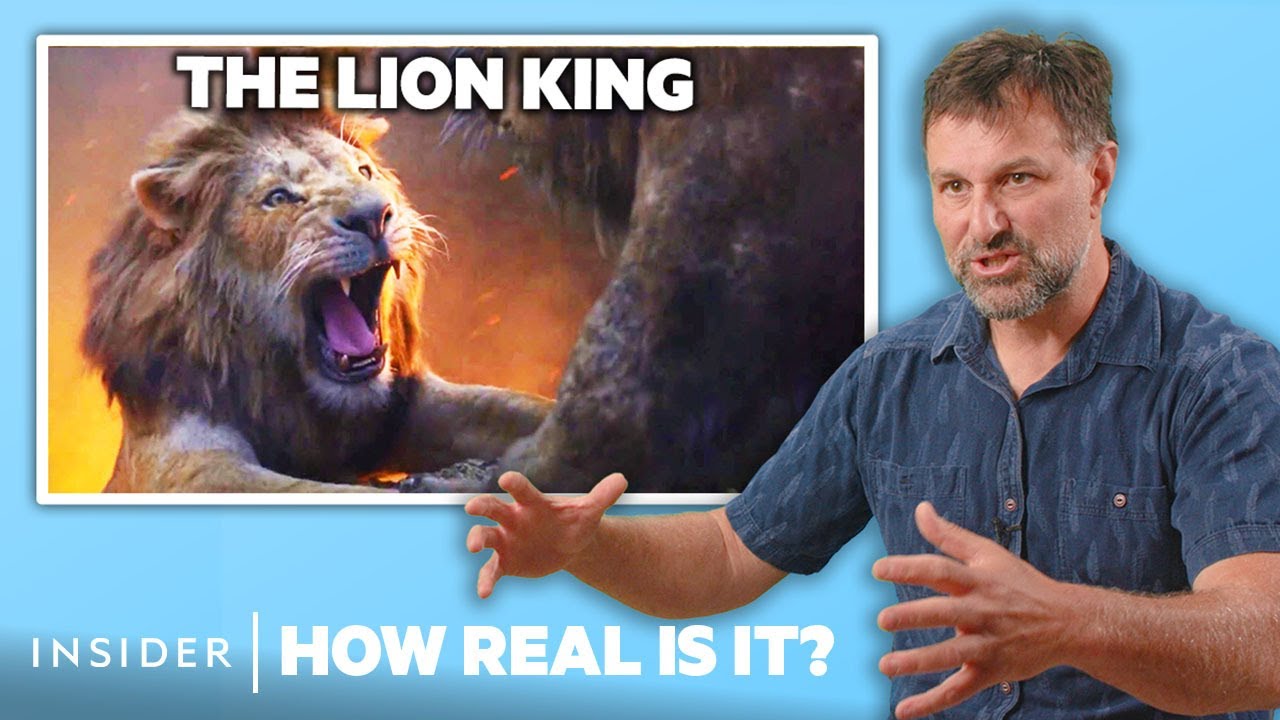 Lion Expert Rates 9 Big-Cat Movie Attacks 🦁