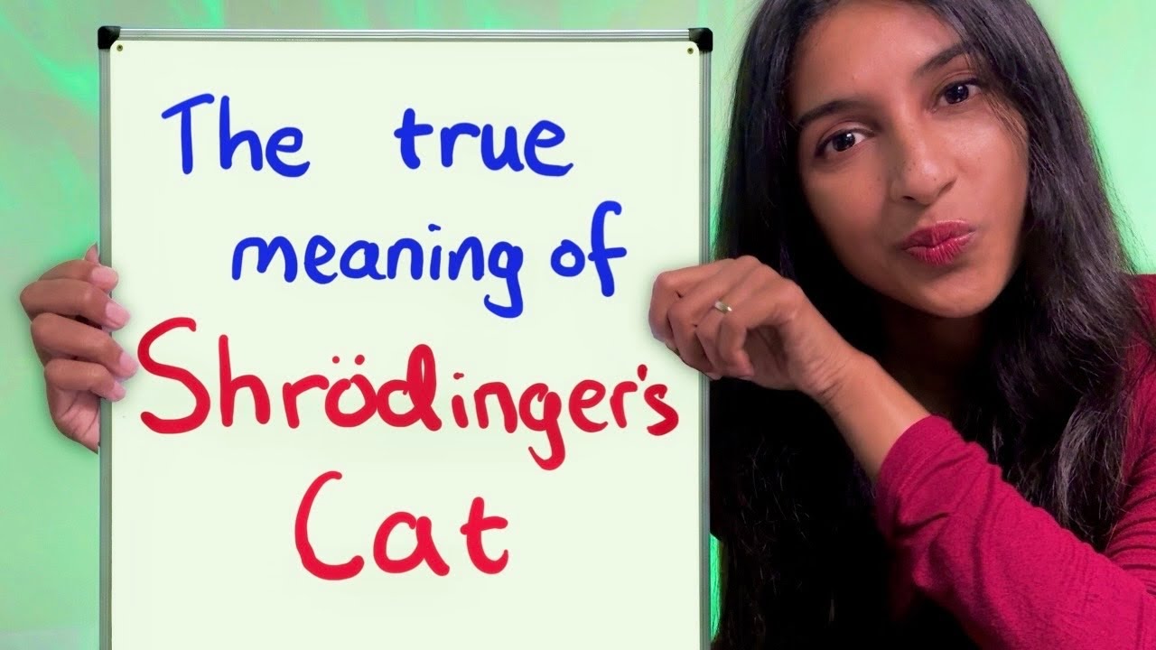 Understand Schrodinger's Cat in 4 Weeks 🐱