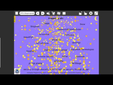 CPTS Steganography