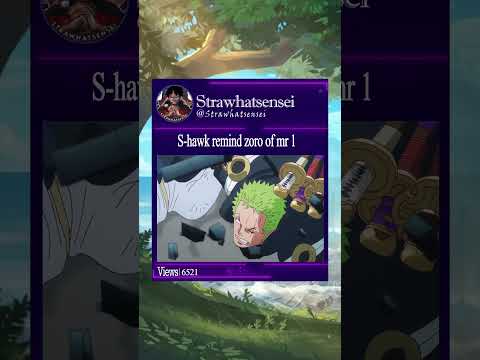 zoro sees mr 1 in s Hawke