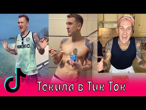 Текила в Тик Ток / Егор Крид, MIA BOYKA / Гречка мартини, Гудини, Витамин Т, На природу