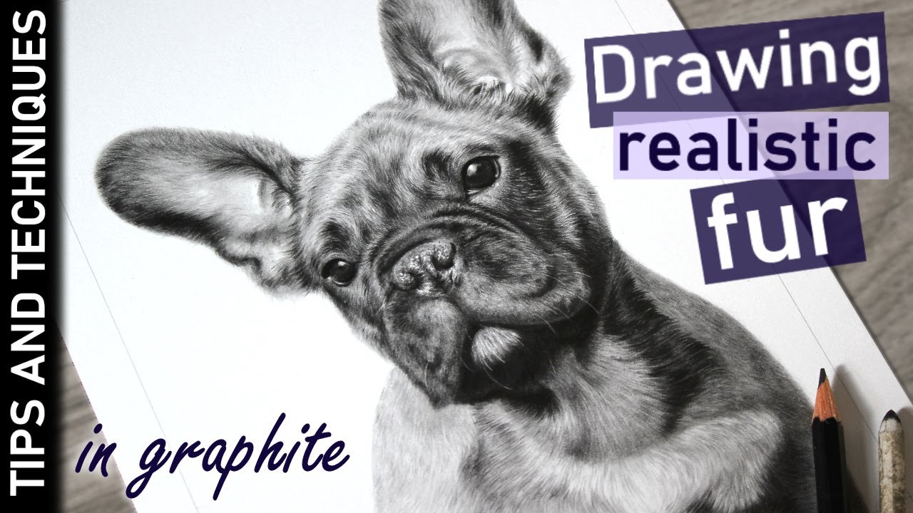 Graphite Tips for Drawing French Bulldog Fur 🐶