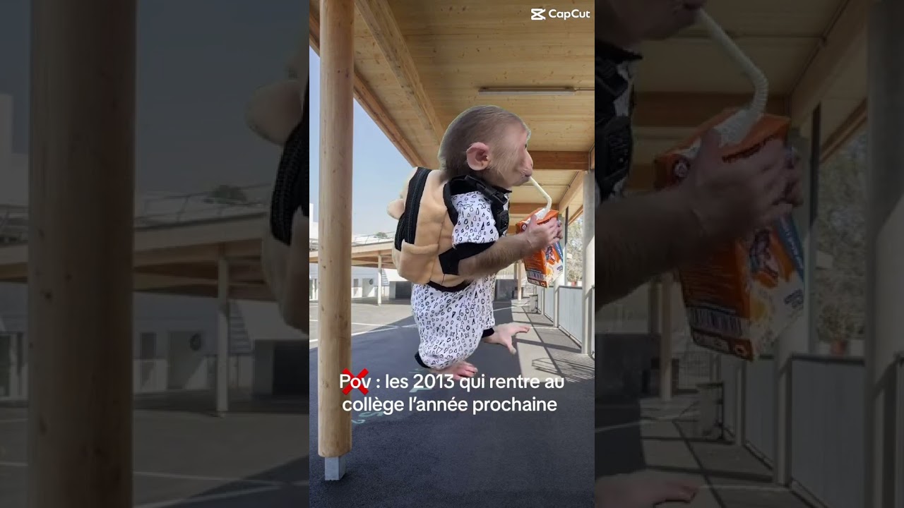 Les 2013 Les élèves de 2013 entrant au collège l'année prochaine