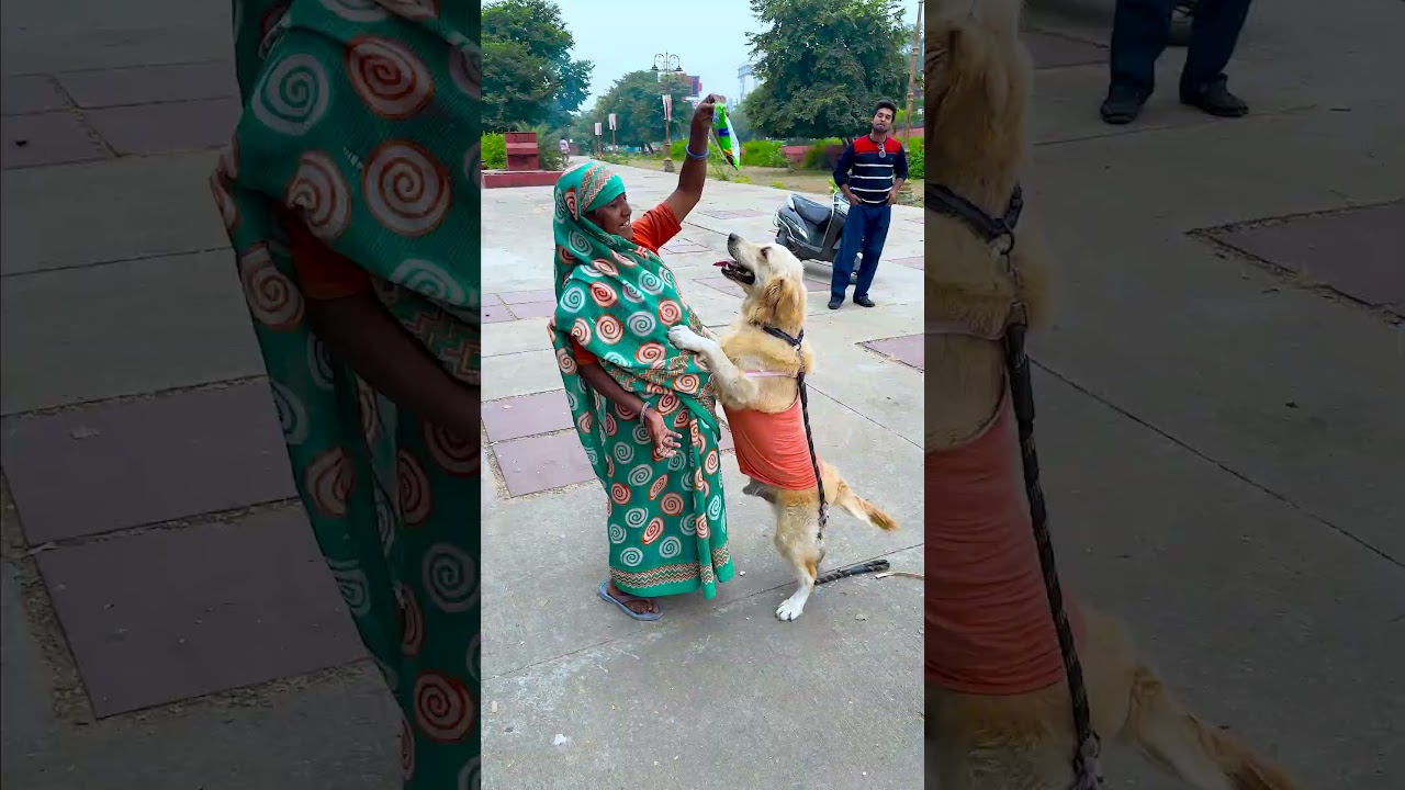 मेरा प्यारा डॉगी कैसे कैसे भाग जाता है! 😂🐶