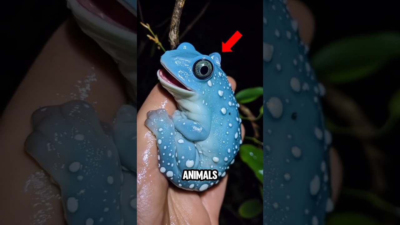 Top 5 Animals Rarer Than You Think 😳🤯