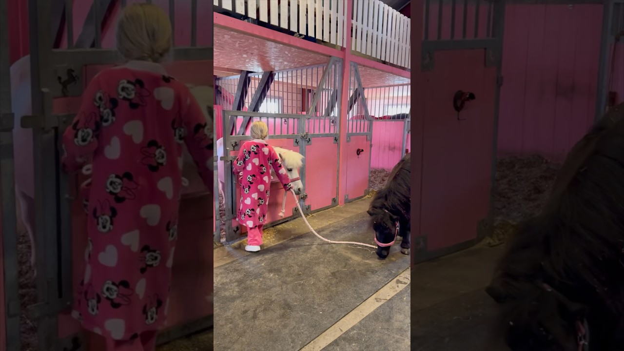 Ella & Her Ponies Morning Routine 🐴