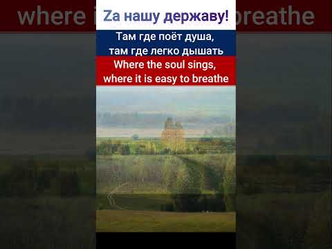 SHAMAN - ШАМАН /МОЯ РОССИЯ🌼 #shorts #shaman #любимыепесни #hitsongs2023 #shortsvideo2024