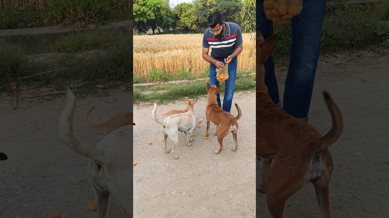 बच्चों का प्यार ❤️
