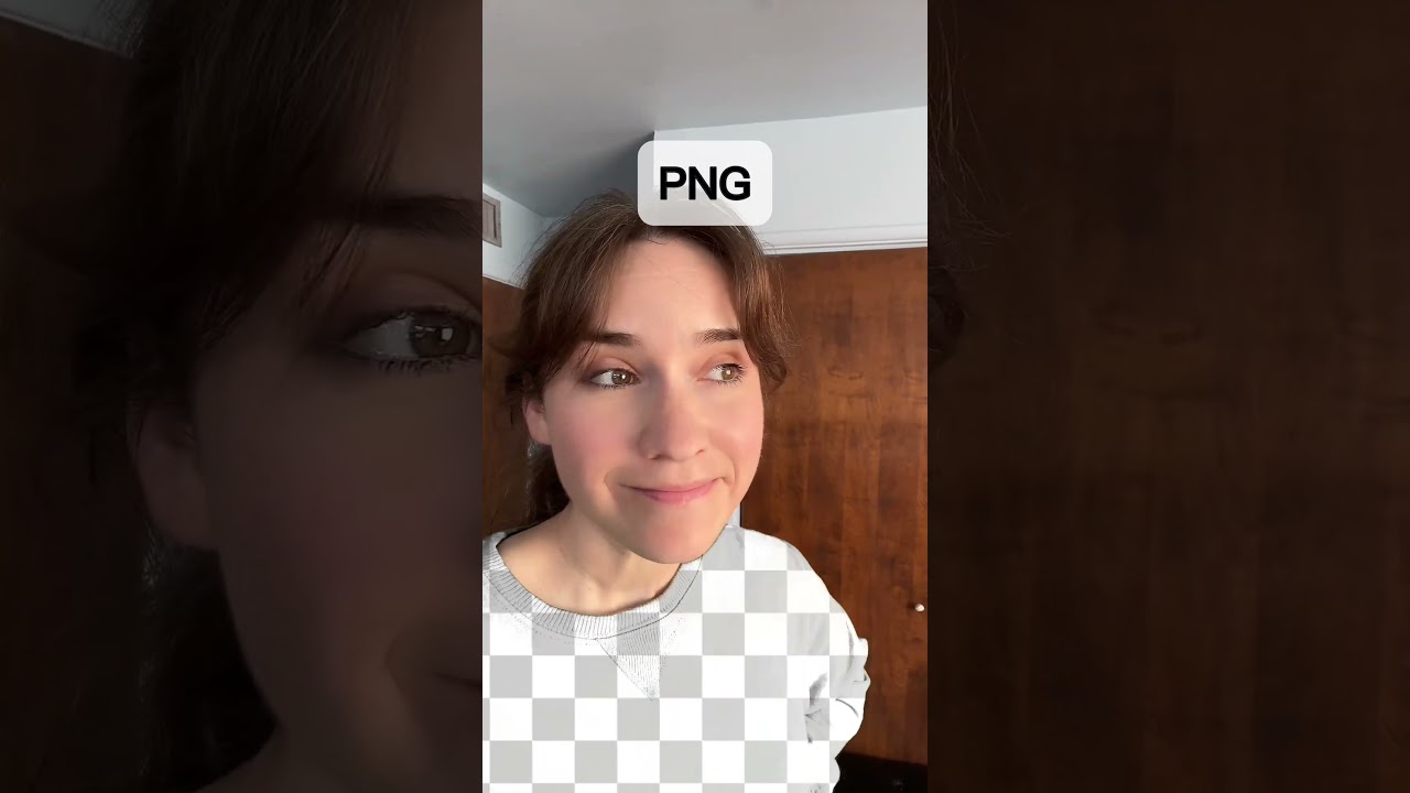 Understanding Common File Types