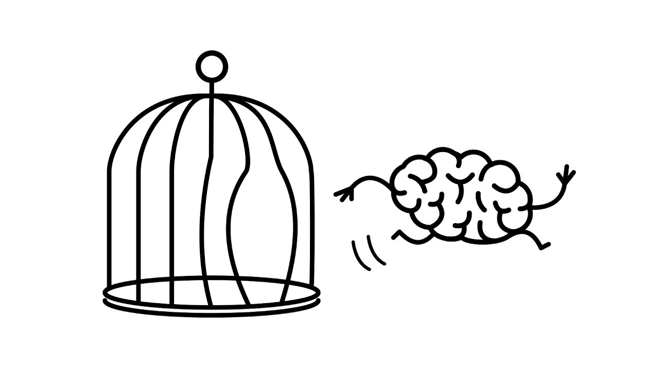 Illusion des freien Willens – Was wir wirklich kontrollieren 🤔