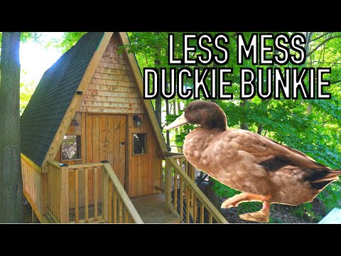 One-of-a-Kind DUCK HOUSE Tour - Organic Free Range Duck Farming