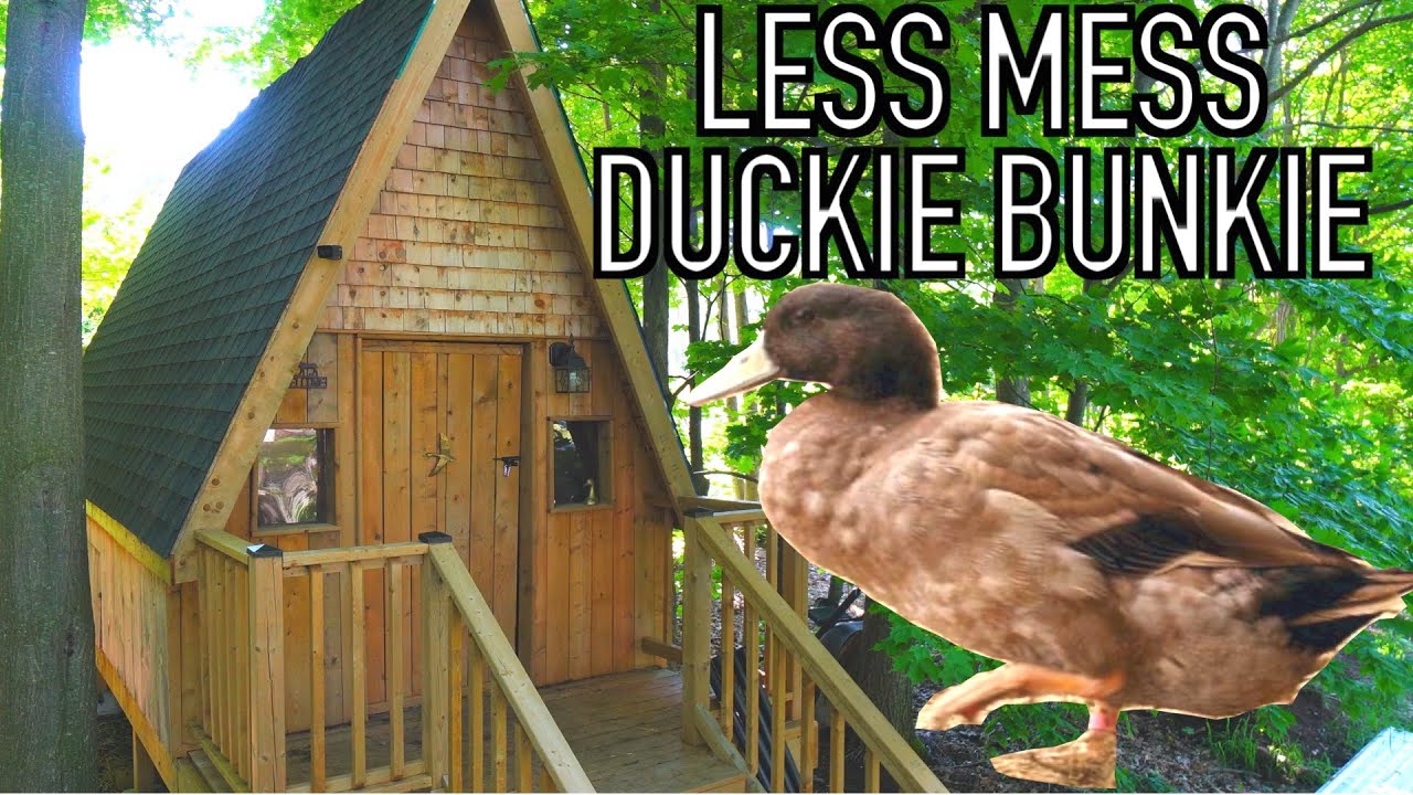 Exclusive Tour of Our Unique Organic Free-Range Duck House