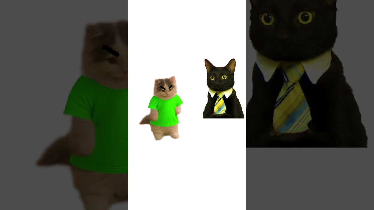 Geld sparen 2025 mit Katzen 🐱