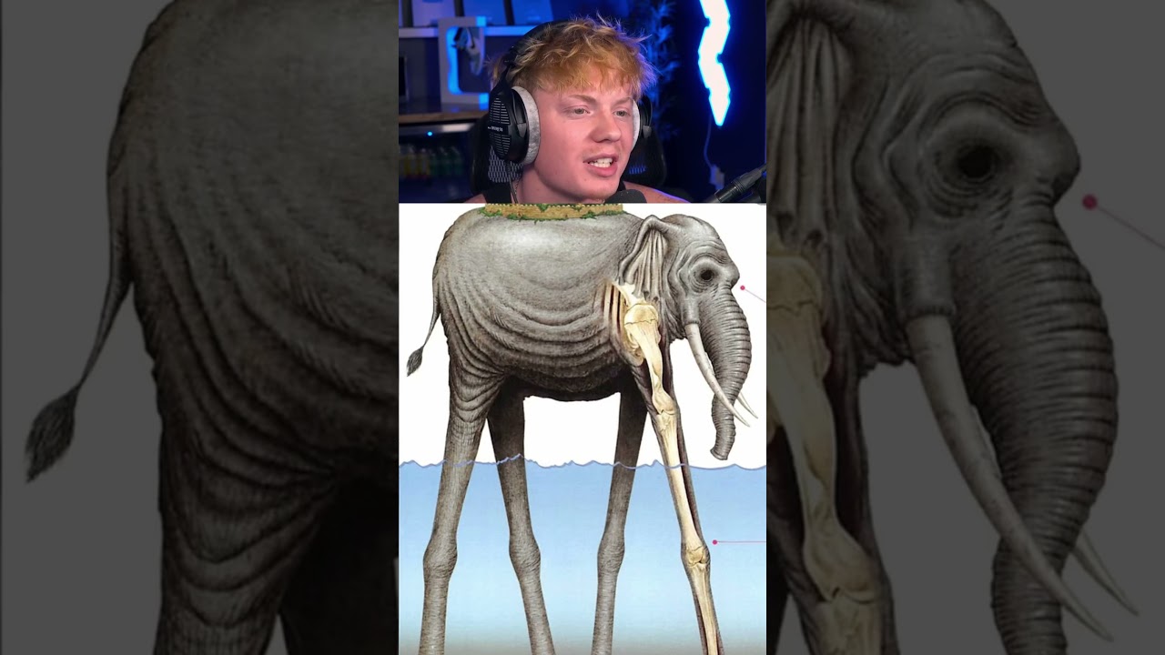 Proof We Weren’t Alone! 👽