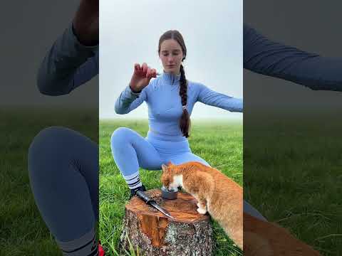 Outdoor Cooking Hack: Tea & Tuna on the Go! 🐾  #outdoors #bushcraft #survival #camping