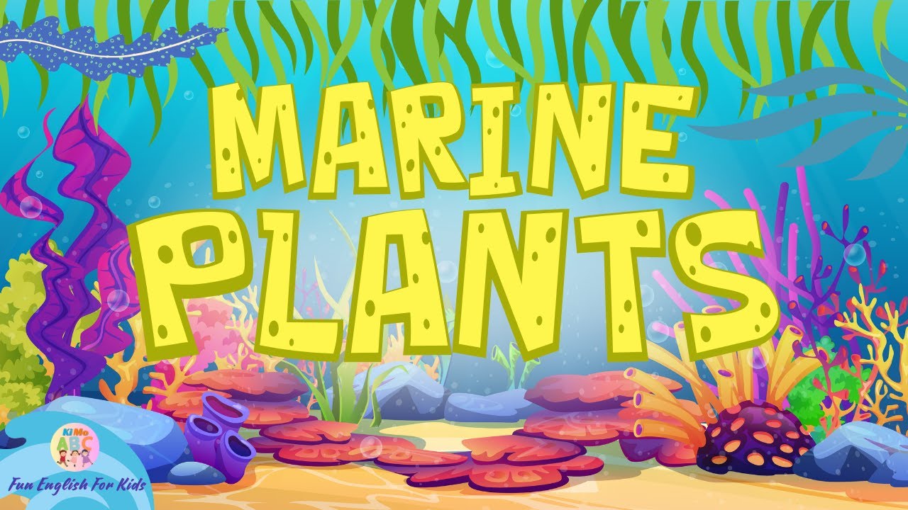 Marine Plant Vocabulary for Kids 🌊