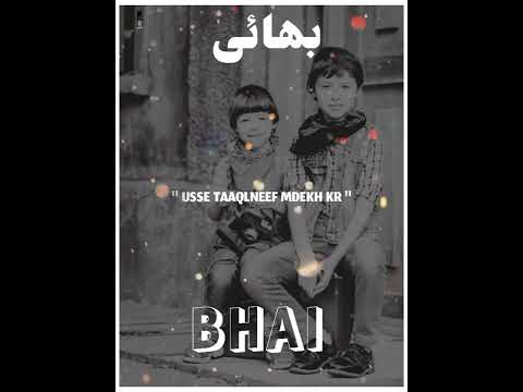 Ajmal raza qadri bhai ka talluq bayan status 🤔| apne bhai ka talluq bayan ajmal raza qadri status