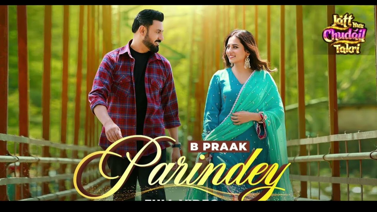 Parindey (Slowed & Reverb Version) by B Praak | Relaxing Hindi Lo-Fi 🎶